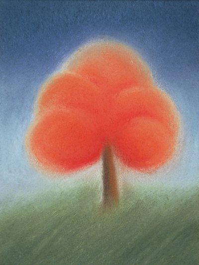 Albero II da Sophie Hacker