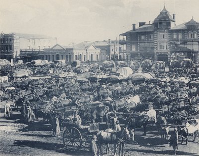Mercato del mattino presto da South African Photographer
