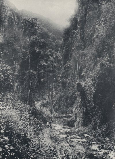 Scena vicino a Pilgrims