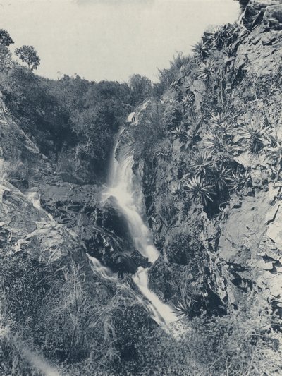 Cascata di Struben da South African Photographer