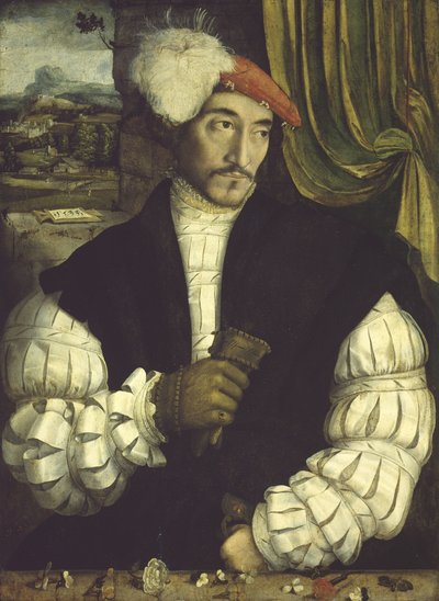 Ritratto di un uomo, 1533 da South German School