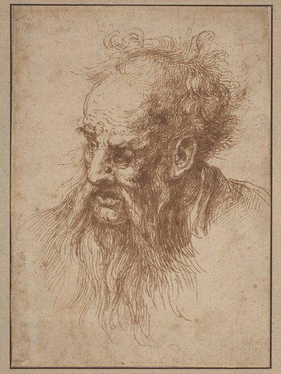 Un Uomo Anziano con una Barba Fluente da Spanish 17th Century