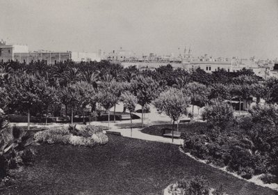 Cadice: Parque Genovés da Spanish Photographer