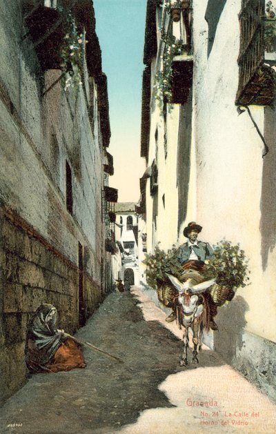 Granada, La Calle Del Horno Del Vidrio, Spain (colour photo) da Spanish Photographer