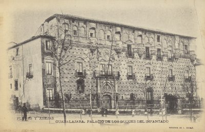 Palacio del Infantado, Gudalajara, Spagna (foto b/n) da Spanish Photographer