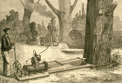 Taglio degli alberi con macchine a vapore alla fine del XIX secolo. Da El Museo Popular pubblicato a Madrid da Spanish School