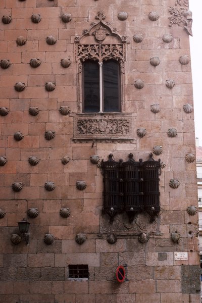 Dettaglio dell
