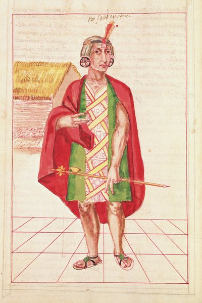 Illustrazione da 