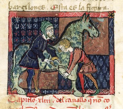 Ms 214 fol.46v Ferratura di un cavallo, da Libro de Menescalcia y Albeyteria di Juan Alvarez, c.1390 da Spanish School