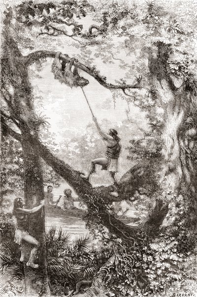 Indiani nativi che catturano un bradipo sul fiume Oyapock o Oiapoque, Sud America da Spanish School