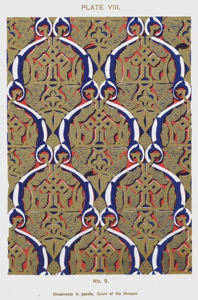 Ornamenti nei pannelli, Corte della Moschea da Spanish School