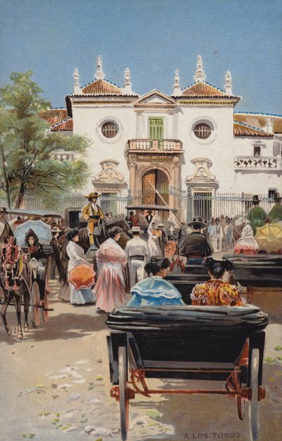 Verso i tori da Spanish School
