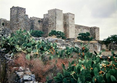 Vista del castello da Spanish School