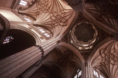 Vista del soffitto alla crociera del transetto da Spanish School