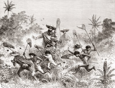 Édouard François André che cattura farfalle a Villavicencio, Venezuela durante la sua spedizione botanica ai piedi delle Ande nel 1875-76 da Spanish School