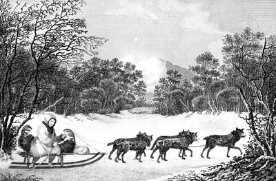 Il modo di viaggiare in inverno in Kamtschatka, XIX secolo da Sparrow