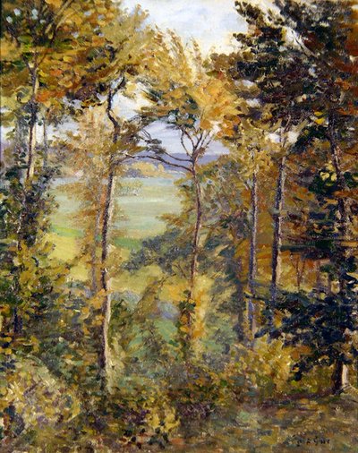 Paesaggio boscoso a Tibermont, Neuville Les Dieppes da Spencer Frederick Gore