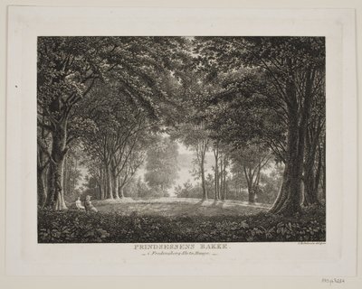 La collina della principessa nel parco del castello di Fredensborg da Søren Henrik Petersen