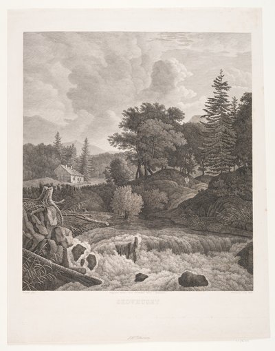 Casa nel bosco da Søren Henrik Petersen