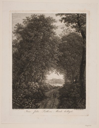 Strada nel bosco da Søren Henrik Petersen
