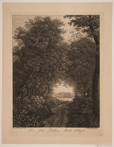 Strada forestale da Søren Henrik Petersen