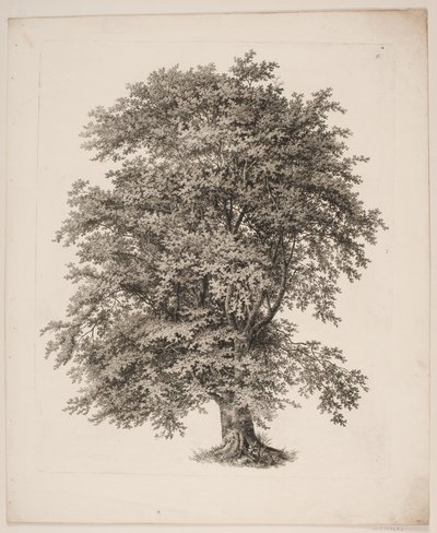 "Studi dalla natura riguardanti il disegno del paesaggio di S.H. Petersen", nr. 2 da Søren Henrik Petersen