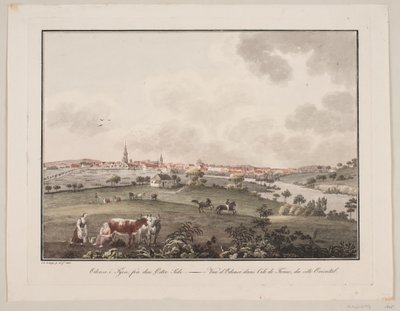 Odense a Fionia, dal lato orientale da Søren L. Lange