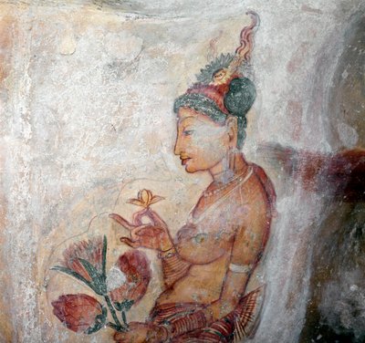 Veduta della cameriera da Sri Lankan School