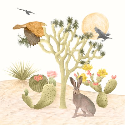 Deserto Mojave da Stacy Hsu