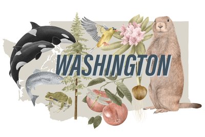 Simboli dello Stato di Washington da Stacy Hsu