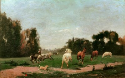 Cavalli che si divertono nel prato da Stanislas Lepine