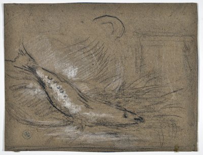 Studio di pesce (disegno) da Stanislas Torrents y de Amat
