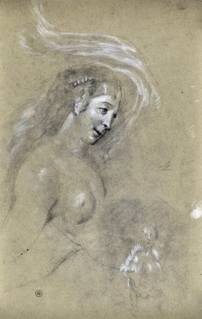 Studio di profilo di donna (disegno) da Stanislas Torrents y de Amat