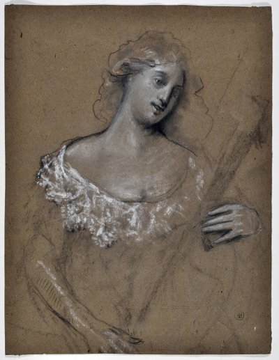 Studio di donna che suona il liuto da Stanislas Torrents y de Amat