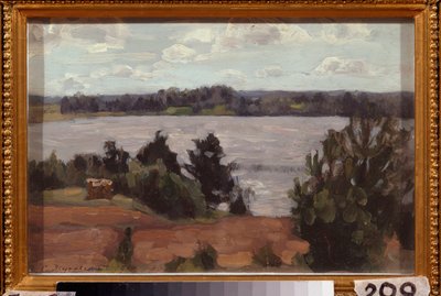 Sulla riva del lago da Stanislav Joulianovitch Joukovski