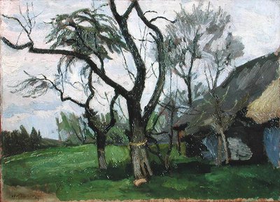 Paesaggio di Wola Radziszowska da Stanislaw Kamochi
