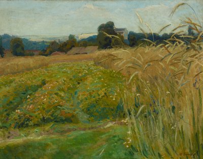 Paesaggio nei dintorni di Cracovia da Stanislaw Kamocki