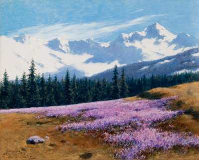 Crocus con montagne innevate sullo sfondo da Stanislaw Ignacy Witkiewicz
