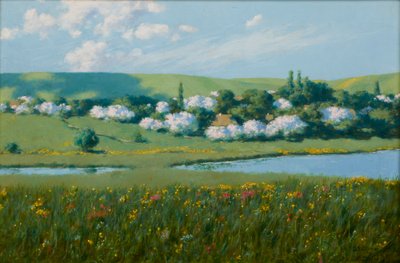 Paesaggio primaverile con uno stagno da Stanislaw Ignacy Witkiewicz