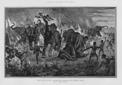 Il cerchio di fuoco - distruzione degli elefanti in Africa Centrale da Stanley (after) Berkeley