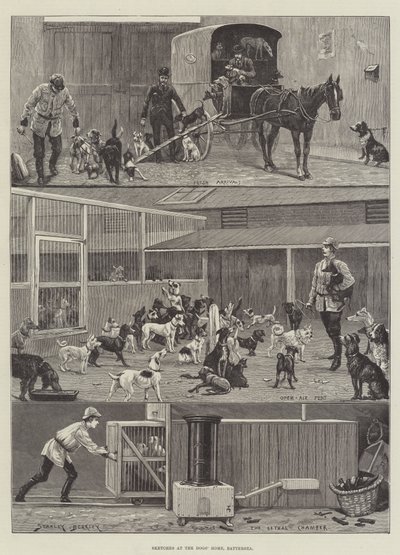 Schizzi al rifugio per cani, Battersea da Stanley Berkeley