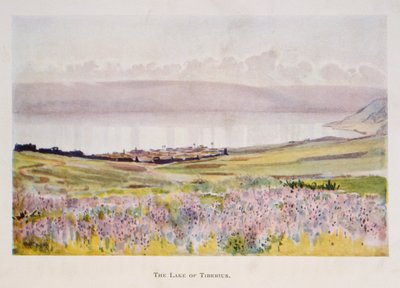 Acquerello di Stanley Inchbold, che raffigura il Mare di Galilea in Palestina 1906 da Stanley Inchbold