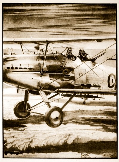 Grandi volatori, illustrazione da 