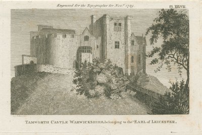 Castello di Tamworth da Stebbing Shaw