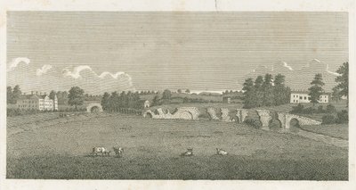 Ponte di Wolseley: incisione da Stebbing Shaw