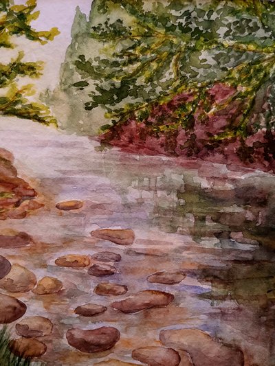 Nel bosco - Ruscello da Steegs Art Karin