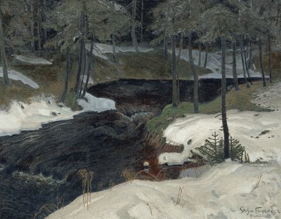 Bergstrom da Stefan Filipkiewicz