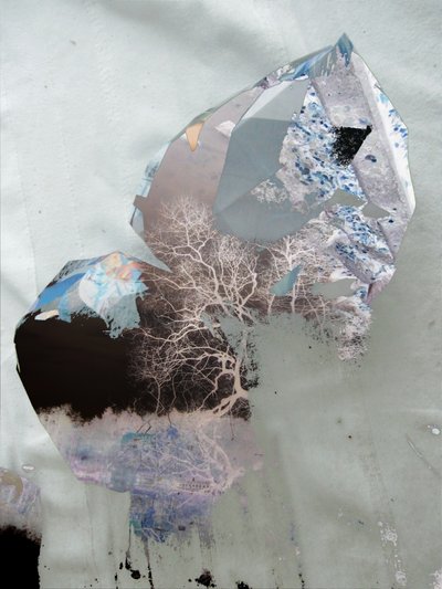 Alberi invernali astratti da Stefan Fransson