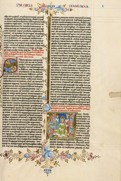 Bibbia da Stefan Lochner