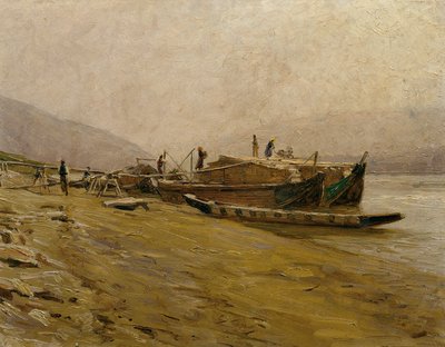 Barche da traino sul Danubio a Spitz da Stefan Simony